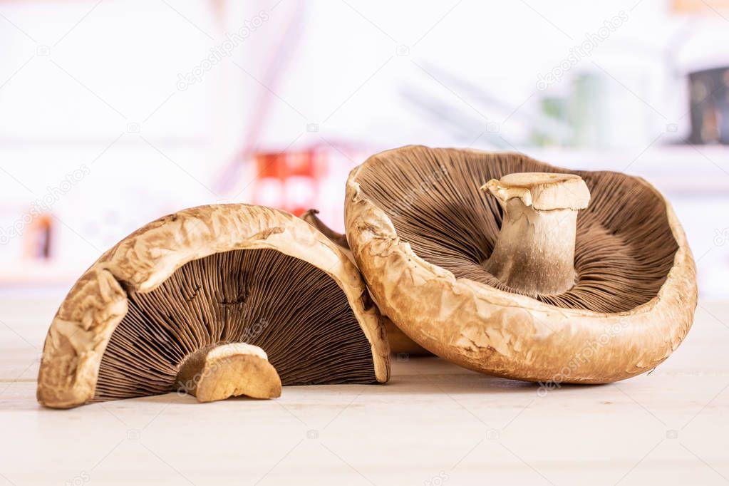 Brown bortobello mushroom with kitchen behind