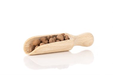 Kil çakıl (leca) beyaz izole