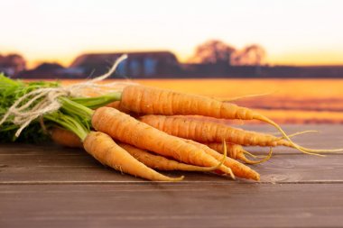 Arkasında sonbahar alanı ile Taze portakal havuç