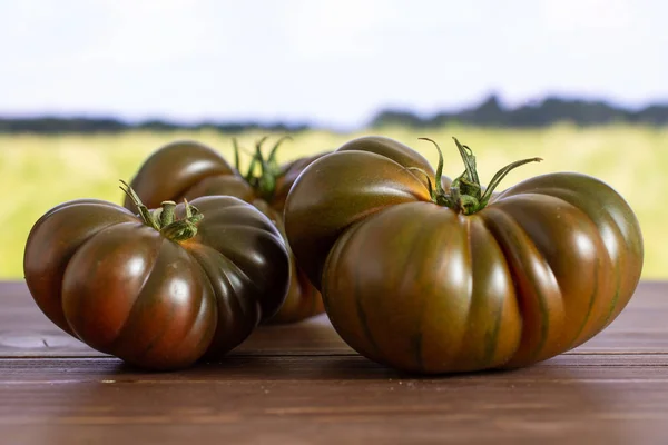 Primaz de tomate escuro fresco com campo atrás — Fotografia de Stock