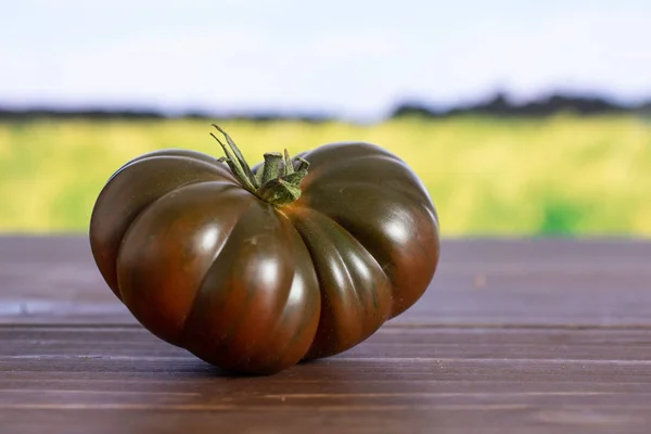 Frische dunkle Tomatenprimora mit Feld dahinter — Stockfoto