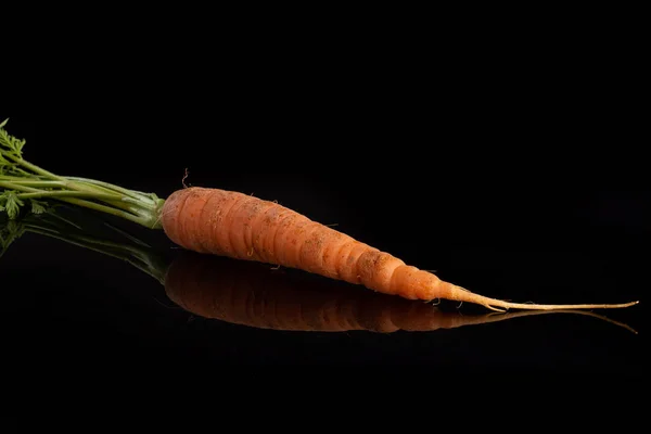 Fresh orange carrot isolated on black glass — Stock Photo, Image