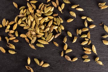 Gri taş üzerinde gerçek kakule pod