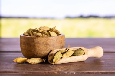 True cardamom pod with field behind clipart