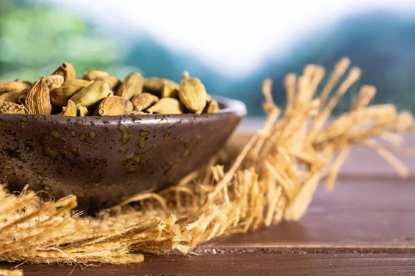 Verdadeiro casulo de cardamomo numa selva — Fotografia de Stock