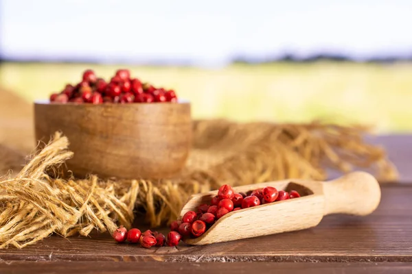 Pimienta peruana rosa con campo detrás — Foto de Stock