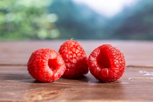 Fresh red raspberry in a jungle — Stock Photo, Image