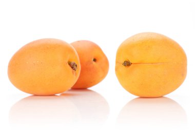 Beyaz üzerinde izole taze portakal kayısı