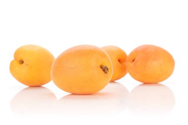 Beyaz üzerinde izole taze portakal kayısı