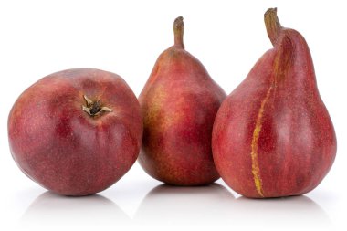 Anjou kırmızı armut beyaz izole