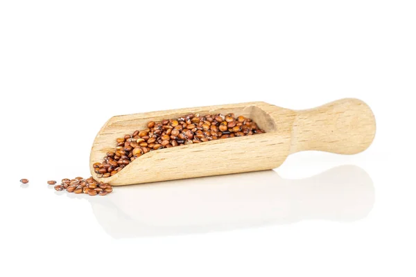 Rode quinoa zaden geïsoleerd op wit — Stockfoto