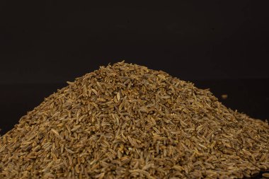 Siyah cam üzerine izole kuru caraway meyve