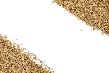 Kuru caraway meyve beyaz izole