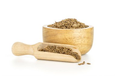 Kuru caraway meyve beyaz izole