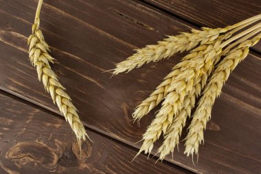 Kahverengi ahşap olgun ekmek buğday