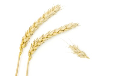 Olgun ekmek buğday beyaz izole