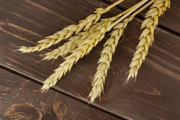茶色の木に熟したパン小麦 — ストック写真