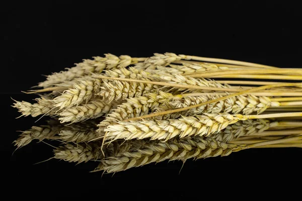 Ripe bread wheat isolated on black glass — Stock Photo, Image