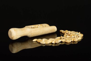 Dinkel buğday tanesi siyah cam üzerine izole