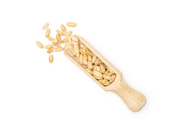 Dinkel buğday tanesi beyaz izole