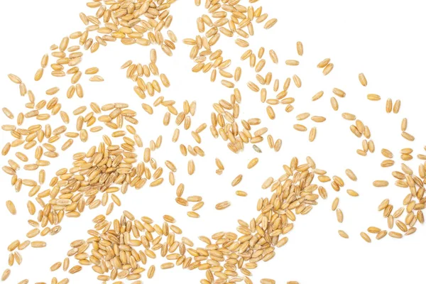 Dinkelova pšeničná zrna izolovaná na bílém — Stock fotografie