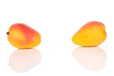 Beyaz üzerinde izole taze portakal kayısı