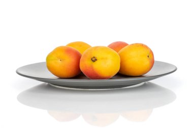 Beyaz üzerinde izole taze portakal kayısı