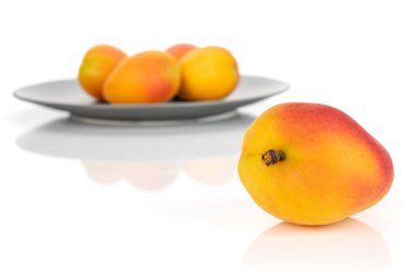 Beyaz üzerinde izole taze portakal kayısı