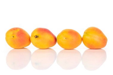 Beyaz üzerinde izole taze portakal kayısı