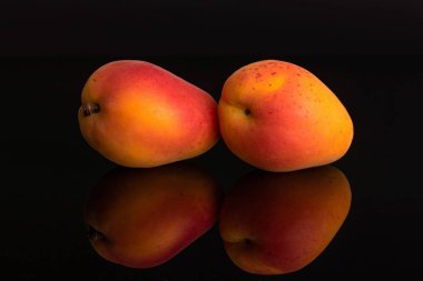 Siyah cam üzerinde izole taze turuncu kayısı