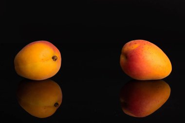 Siyah cam üzerinde izole taze turuncu kayısı