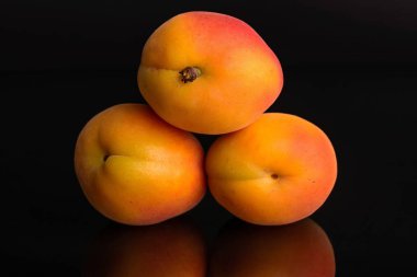 Siyah cam üzerinde izole taze turuncu kayısı