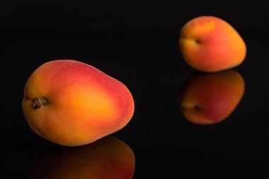 Siyah cam üzerinde izole taze turuncu kayısı