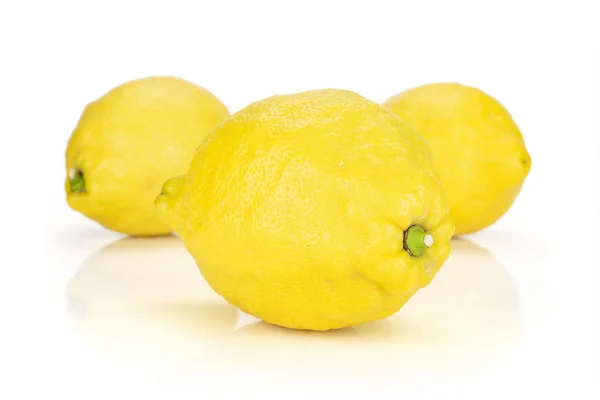 Limão amarelo fresco isolado no branco — Fotografia de Stock