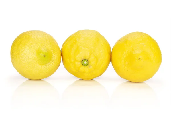흰색으로 분리 된 신선 한 노란색 레몬 — 스톡 사진