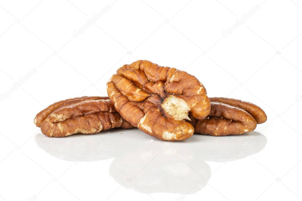 Fresh pecan nut isolated on white