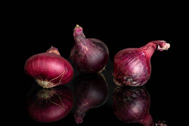 Siyah cam üzerine izole bayat kırmızı soğan