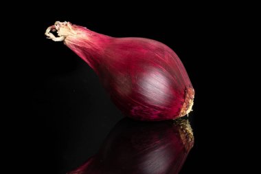 Siyah cam üzerine izole bayat kırmızı soğan