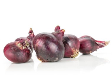 Bayat kırmızı soğan beyaz izole