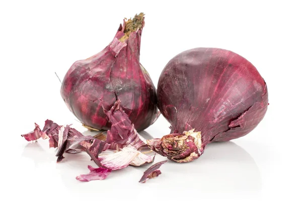 Stale red onion isolated on white — Stock Photo, Image