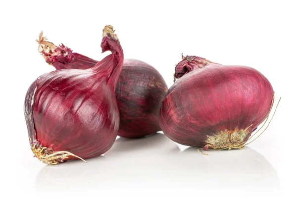 Cebolla roja rancia aislada sobre blanco — Foto de Stock