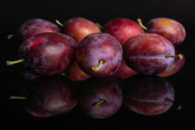 Taze mavi erik siyah cam izole