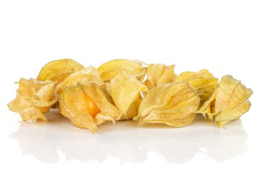 Taze turuncu physalis beyaz izole