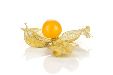 Taze turuncu physalis beyaz izole