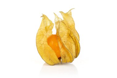 Taze turuncu physalis beyaz izole