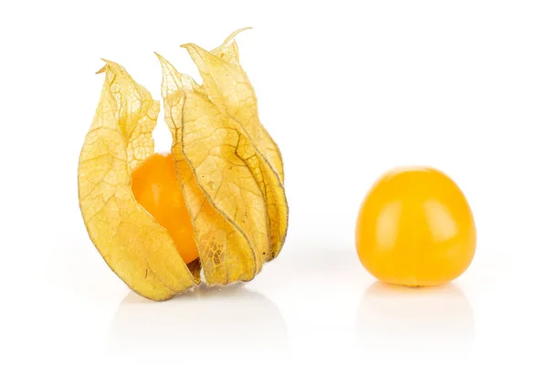 Physalis laranja fresco isolado em branco — Fotografia de Stock