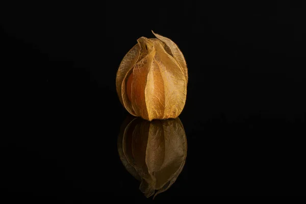 Frische orange Physalis isoliert auf schwarzem Glas — Stockfoto