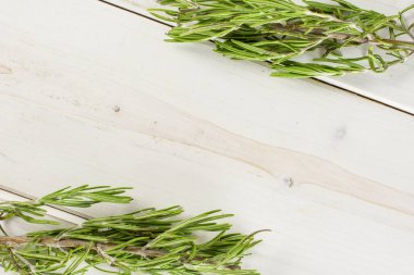 Gri ahşap taze biberiye bitki