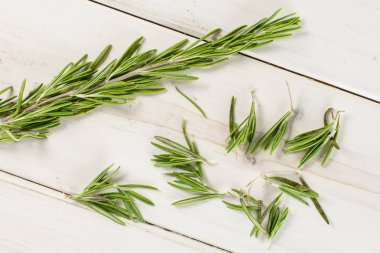 Gri ahşap taze biberiye bitki