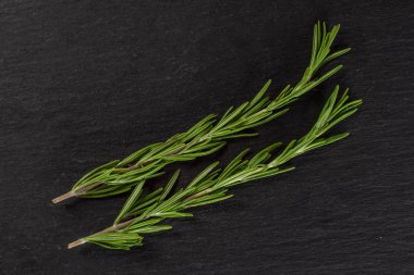 Gri taş üzerinde taze biberiye bitki